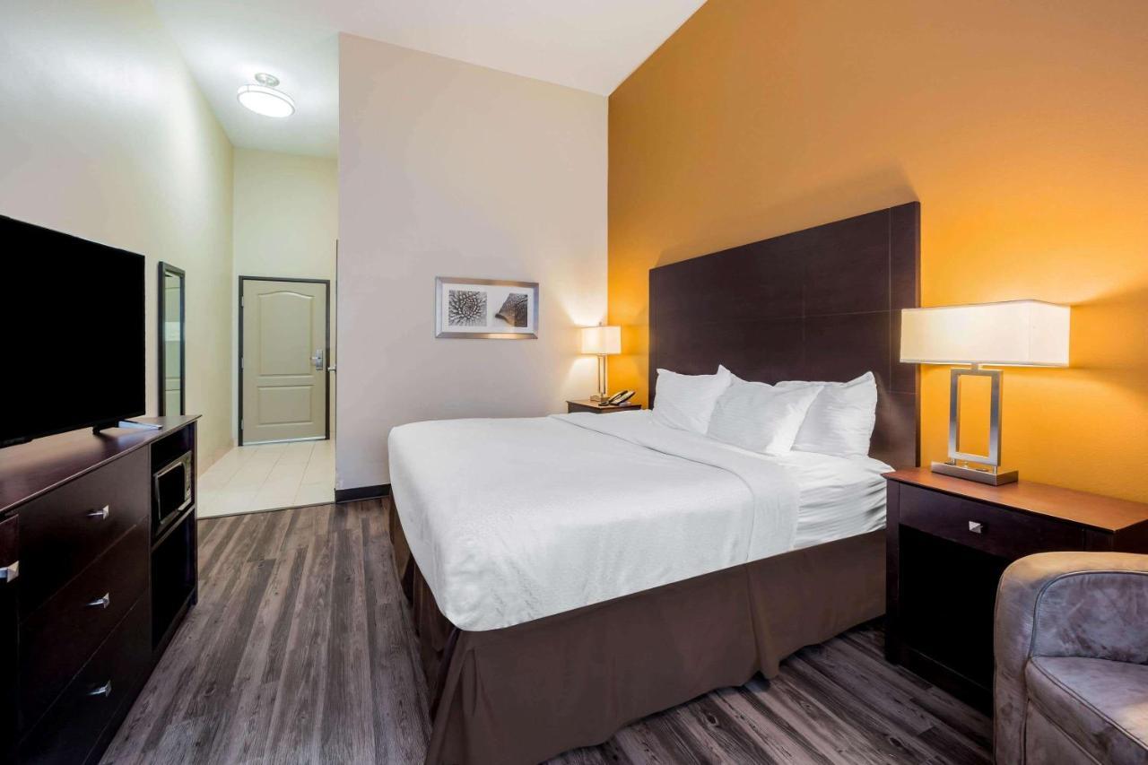 King Room with Roll-In Shower - Mobility Access/Non-Smoking
