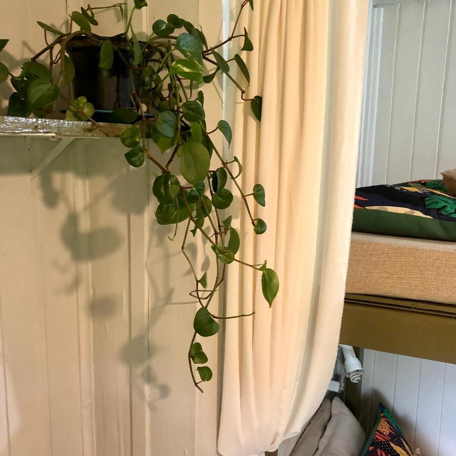 Quarto Standard com 2 Camas de Solteiro e Banheiro Compartilhado