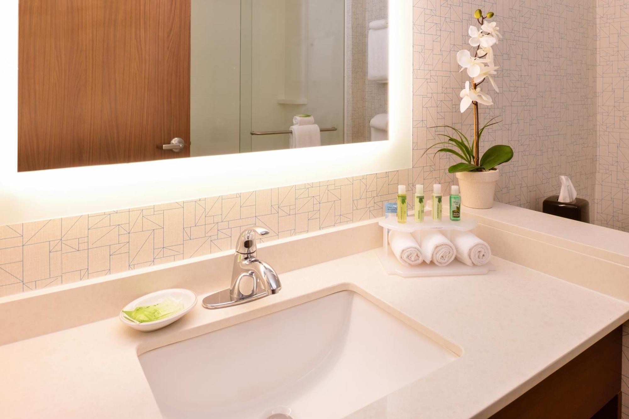 King Room with Roll-In Shower - Disability Access