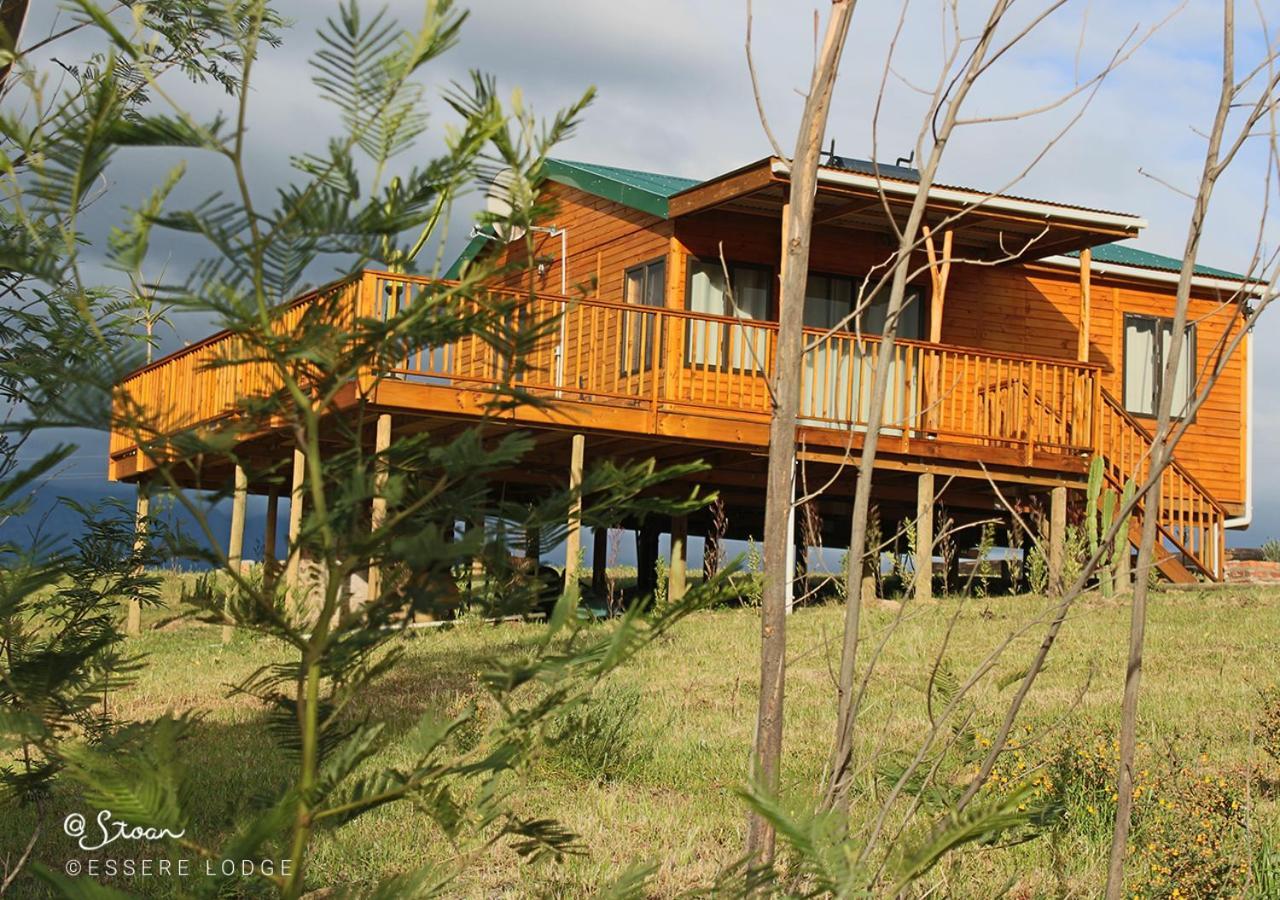Deluxe Double or Twin Room with Balcony