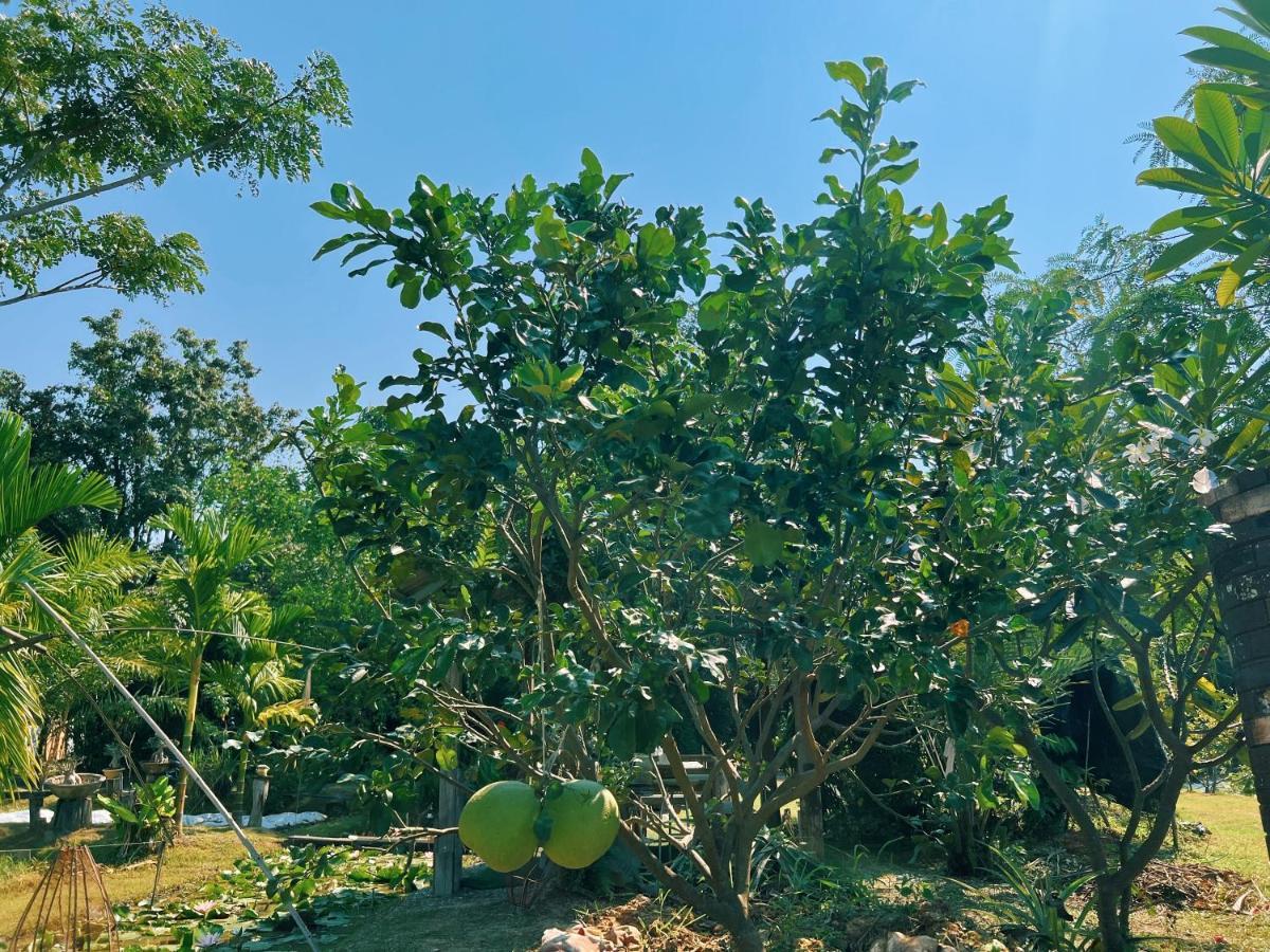 Suite - Vue sur Jardin