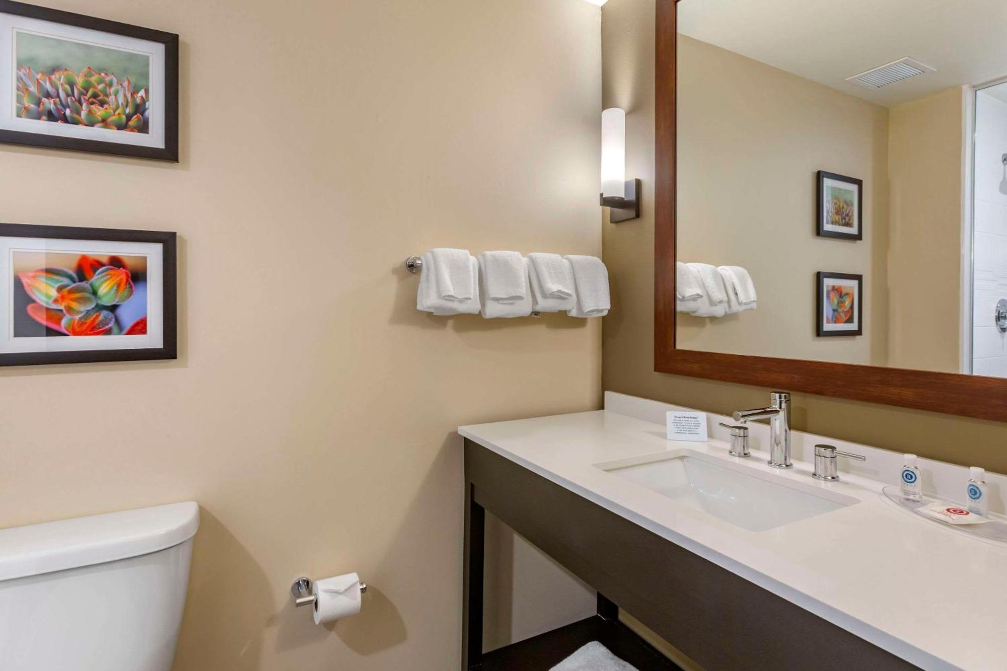 King Suite Mobility Hearing Accessible or Non-Smoking,1598459843:JPEG
