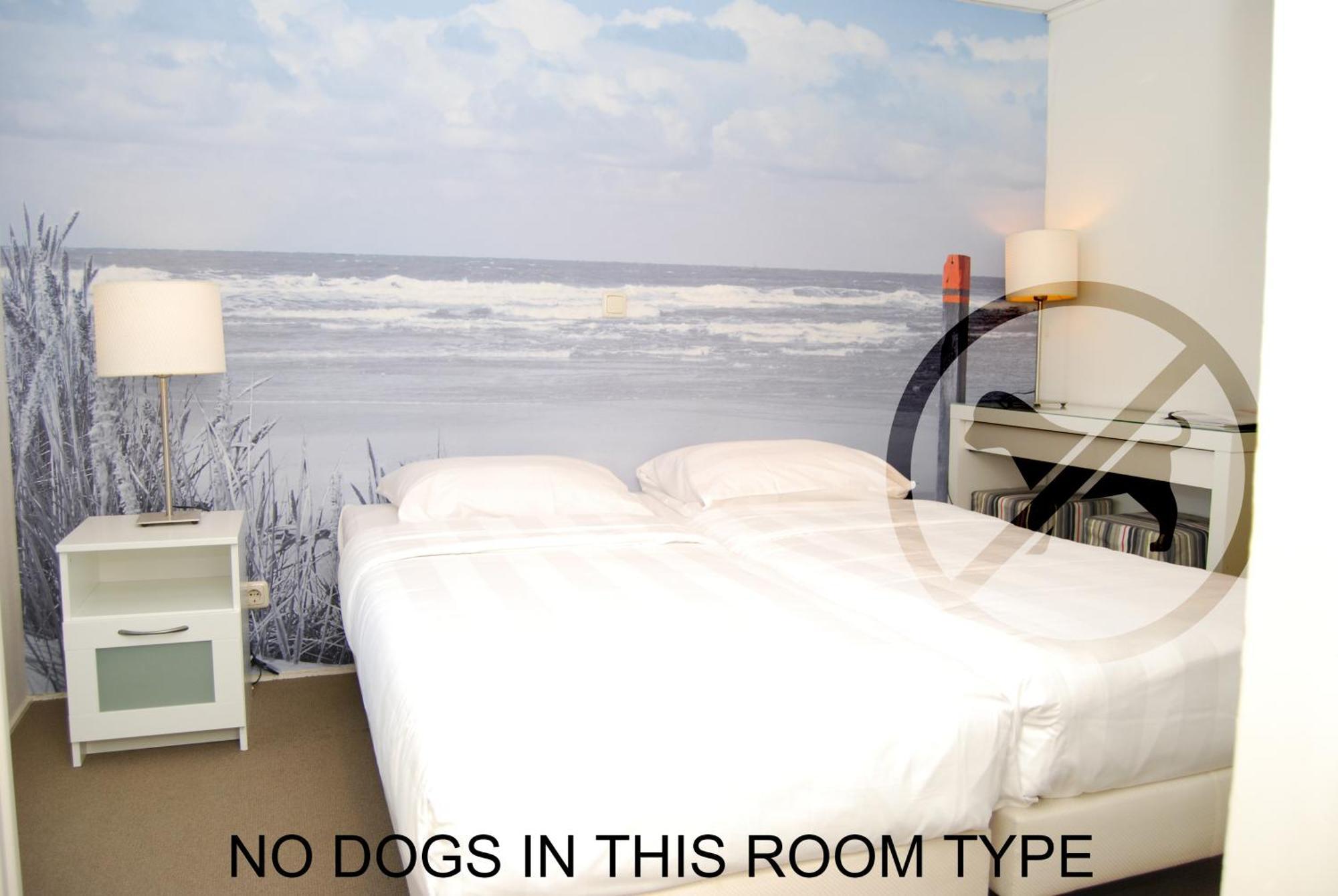 Budget Twin Room,1611051068:JPEG