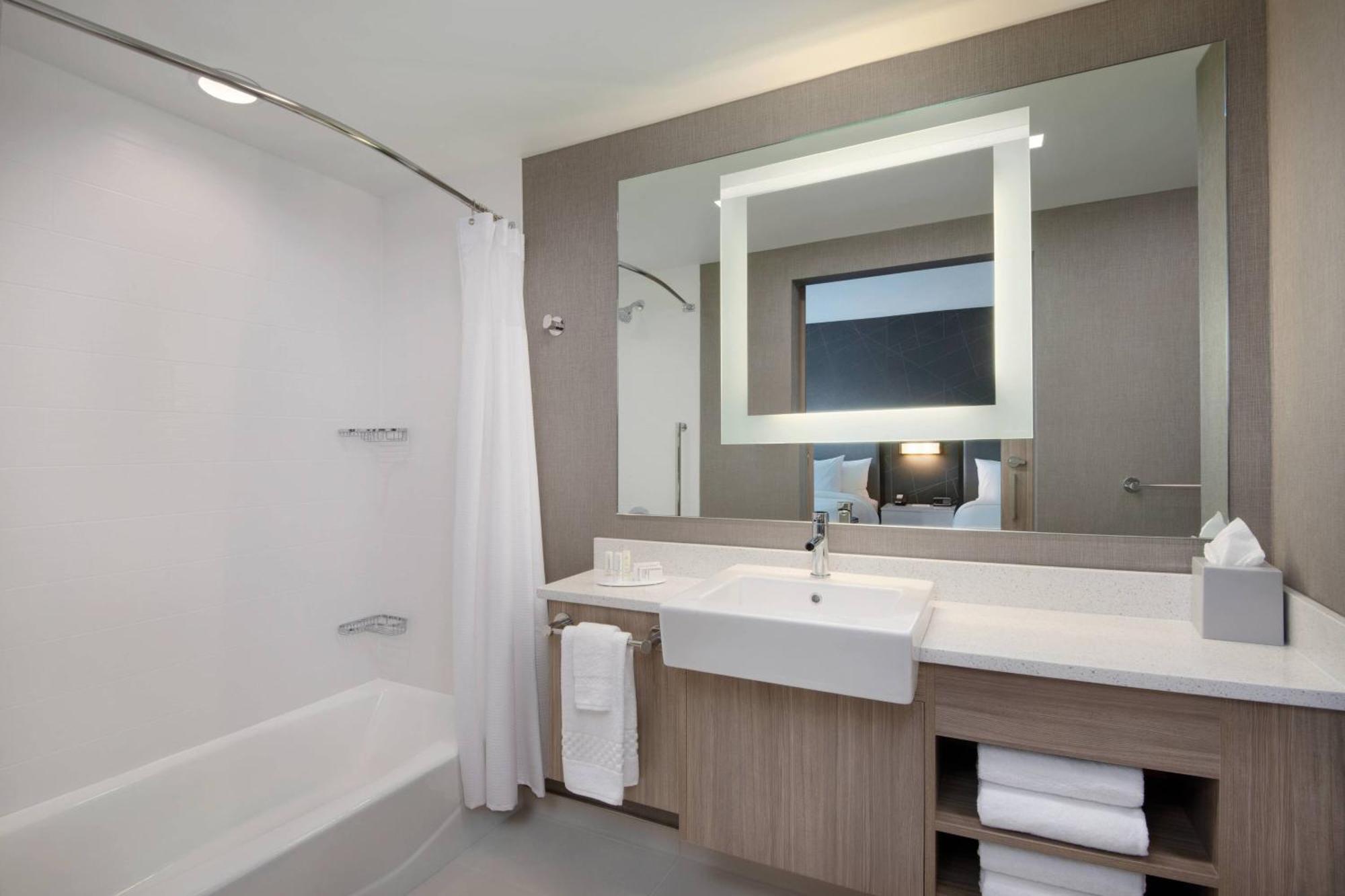 King Suite with Sofa Bed