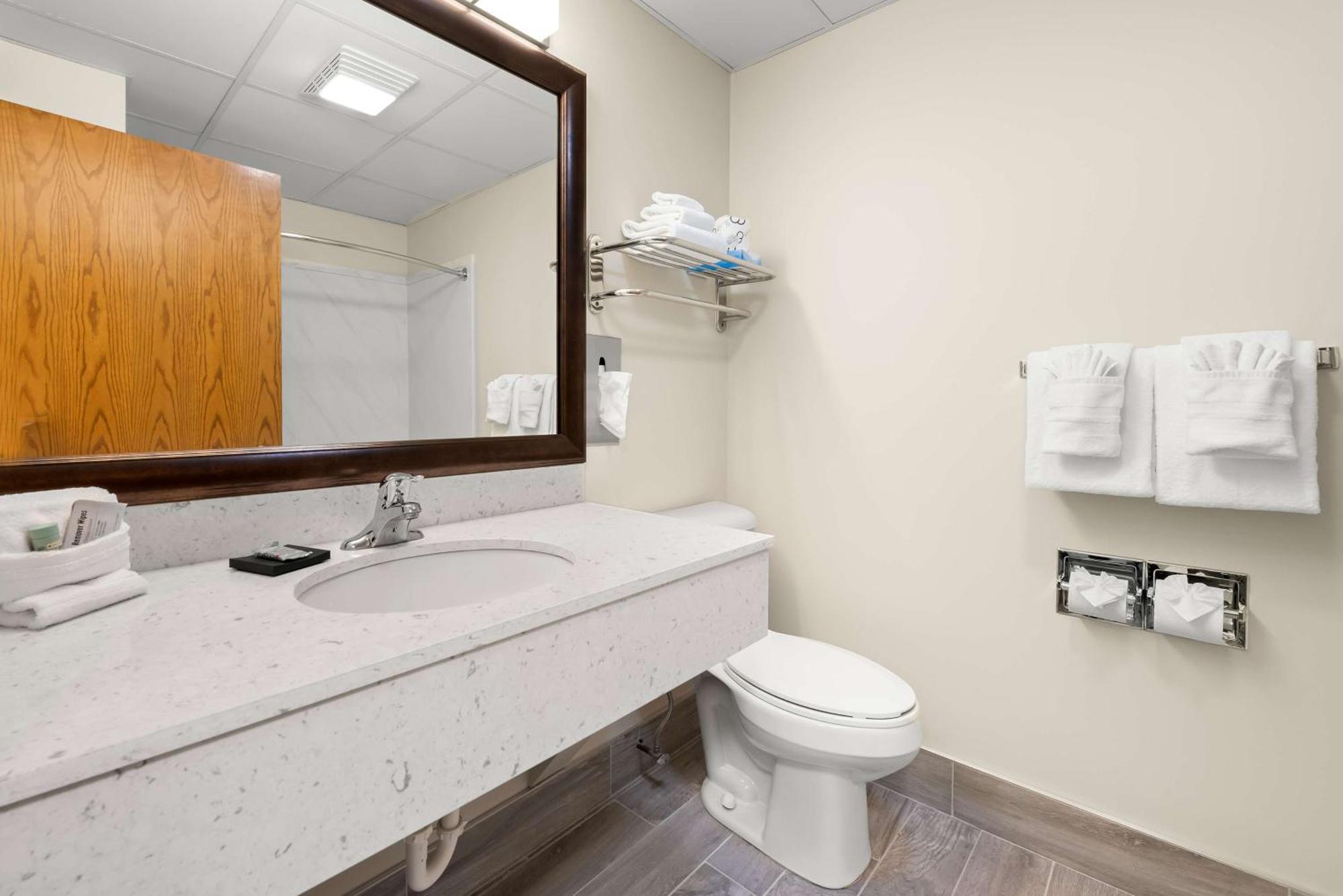 Two-Room King Suite with Sofa Bed - Non-Smoking