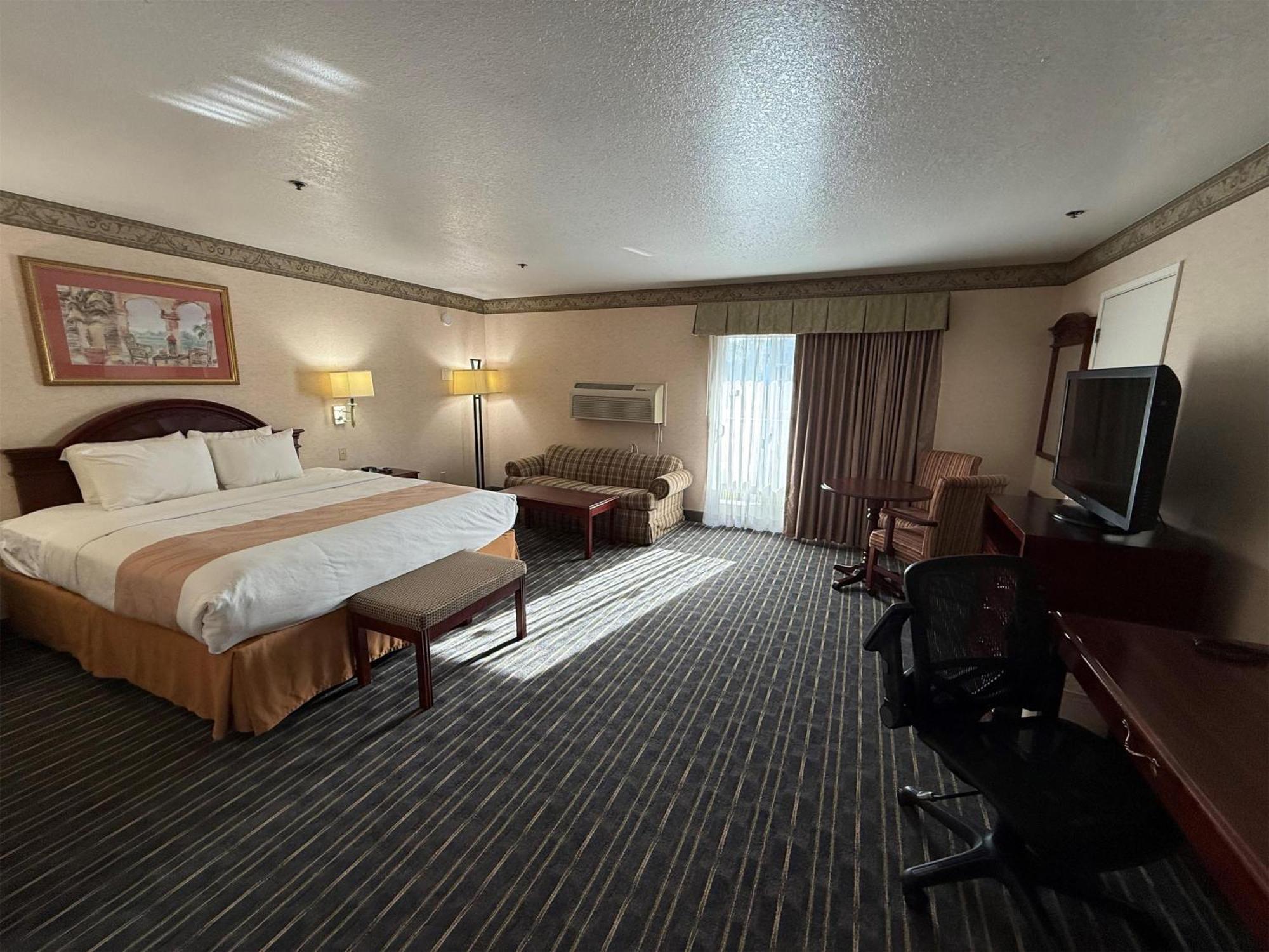Large King Room with Sofa Bed and Balcony - Non-Smoking