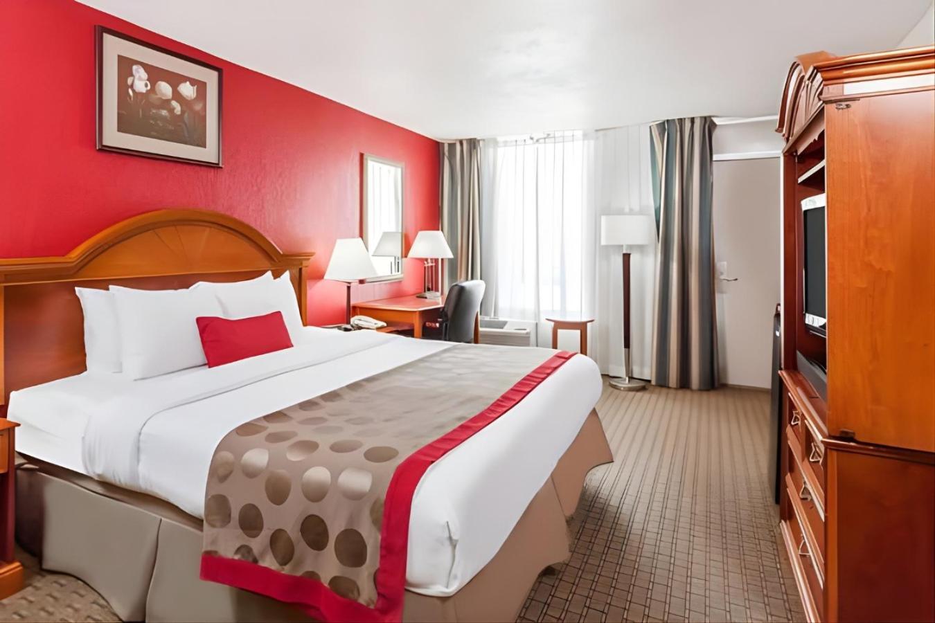 Standard King Room