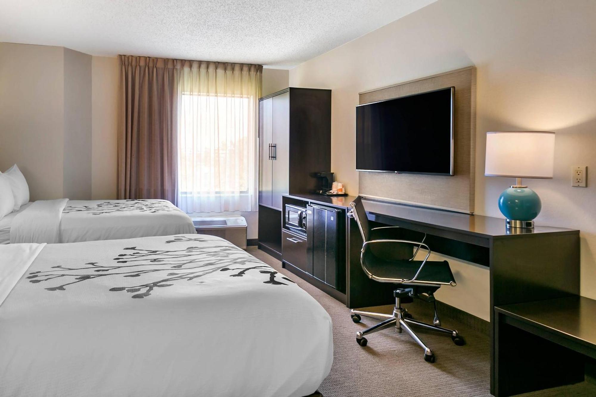 Double Room with Two Double Beds - Non-Smoking