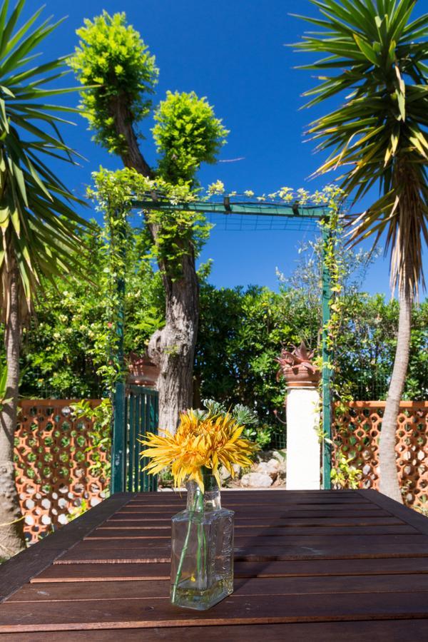 Studio avec Vue sur Jardin