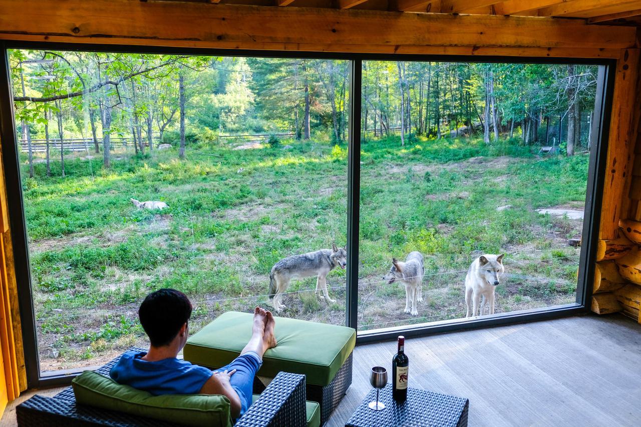 Lodge des loups (576pi²)