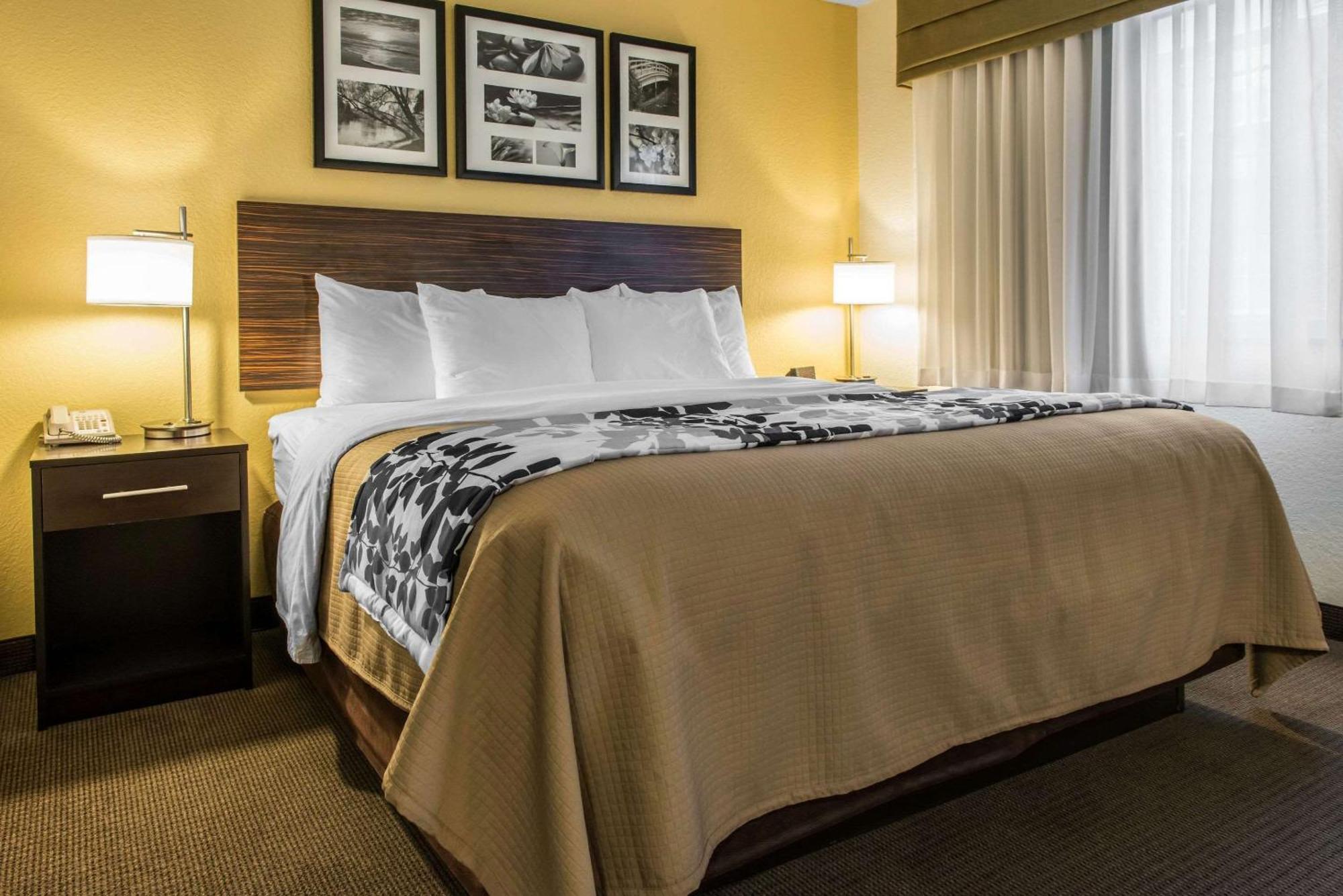 King Suite with Sofa Bed