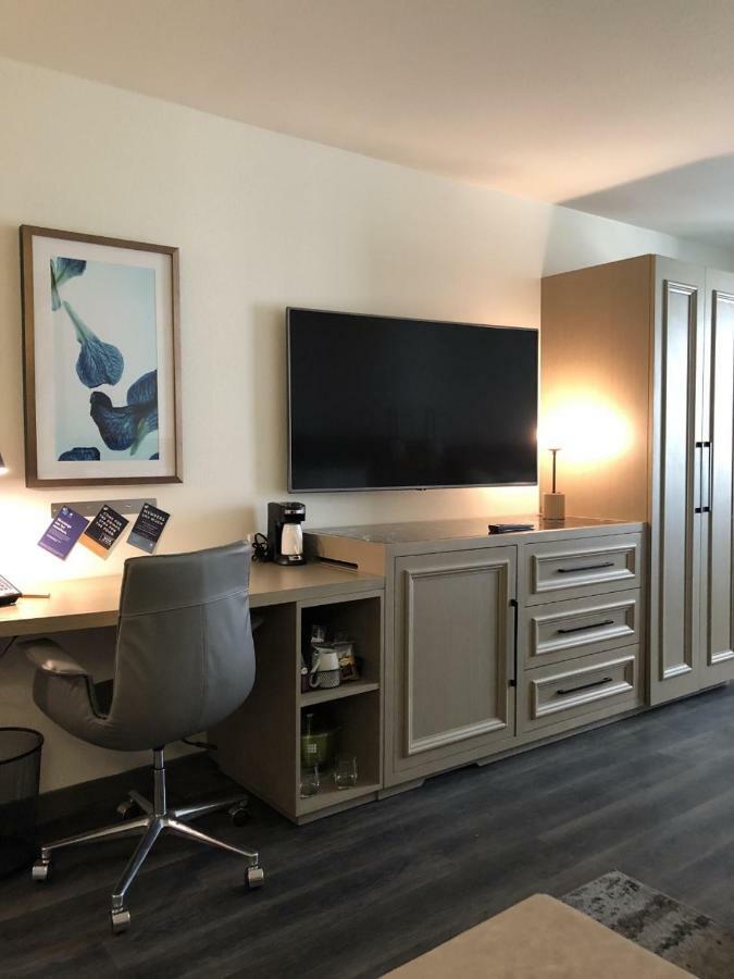 Habitación con cama extragrande y sofá cama