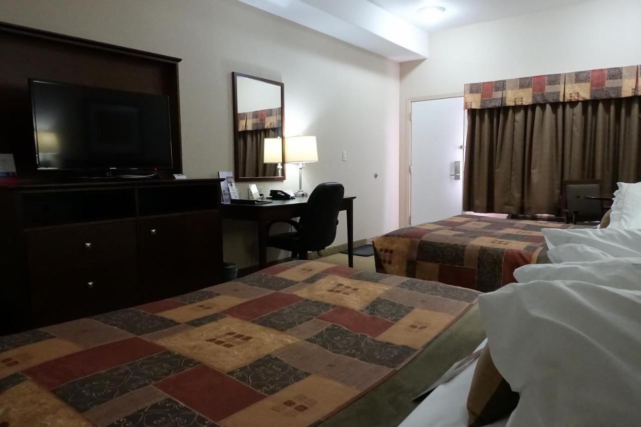 Queen Efficiency Pet-Friendly Studio with Two Queen Beds - Non-Smoking