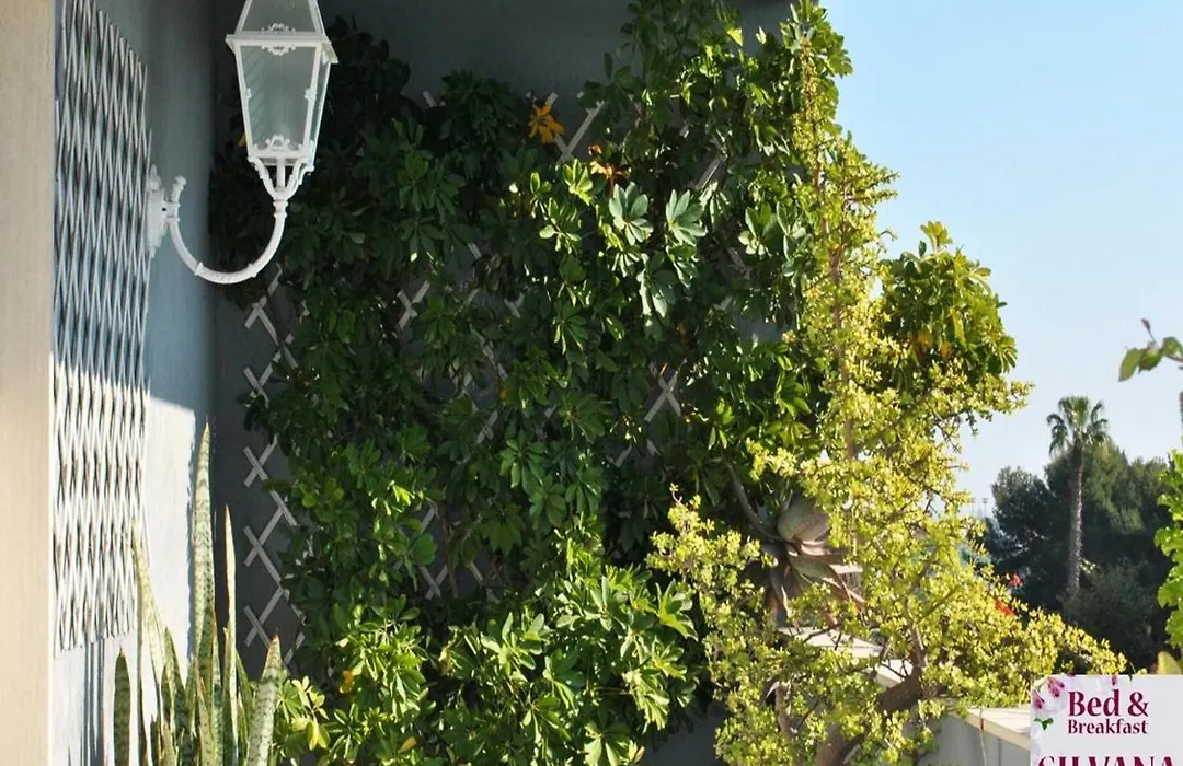 Bed And Breakfast Silvana-1