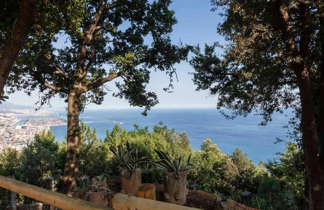 La Brigna B&B Il Bosco Sul Mare-1