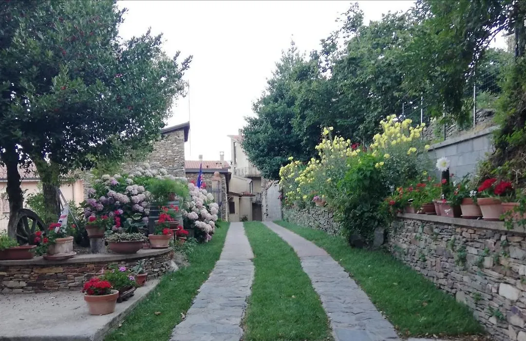 Agrifoglio B&B con giardino-1