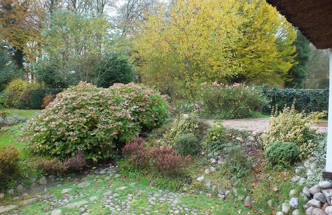Taubenhof - Gut Cadenberge-1