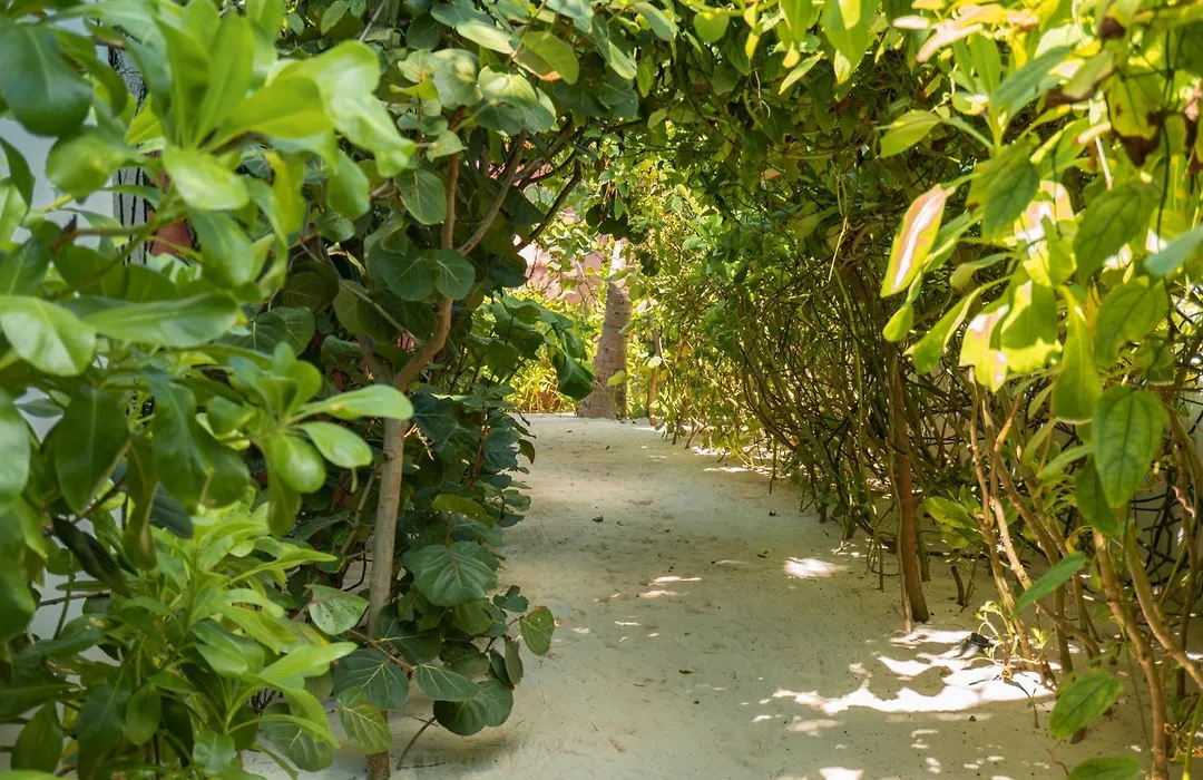 Tago Tulum By G Hotels-1