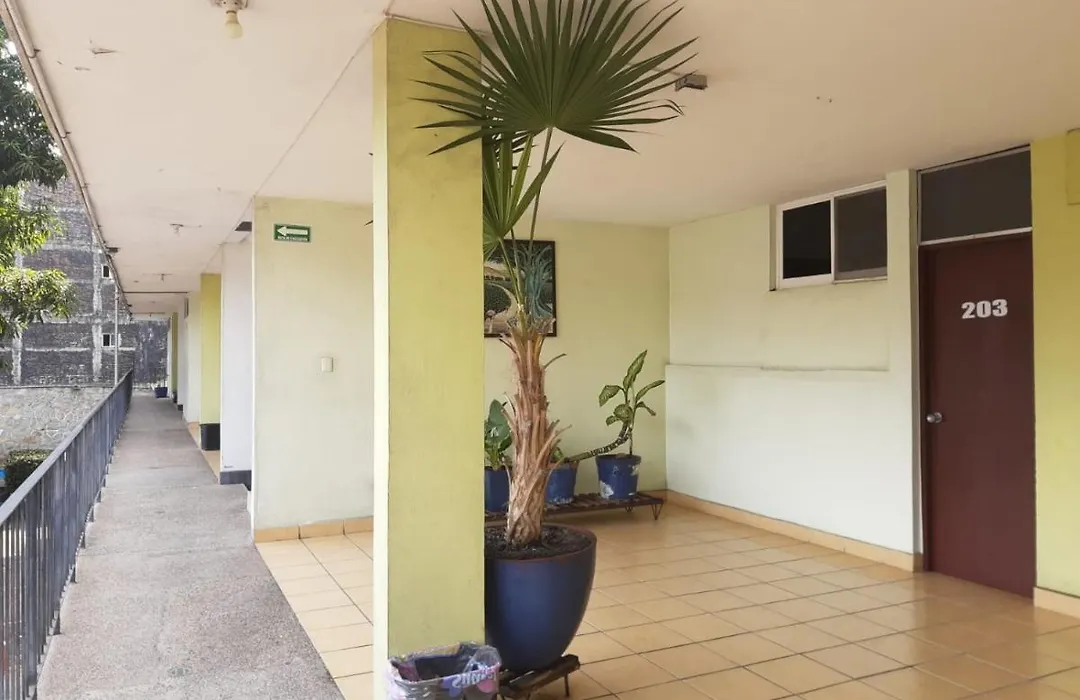 Hotel Avenida-1