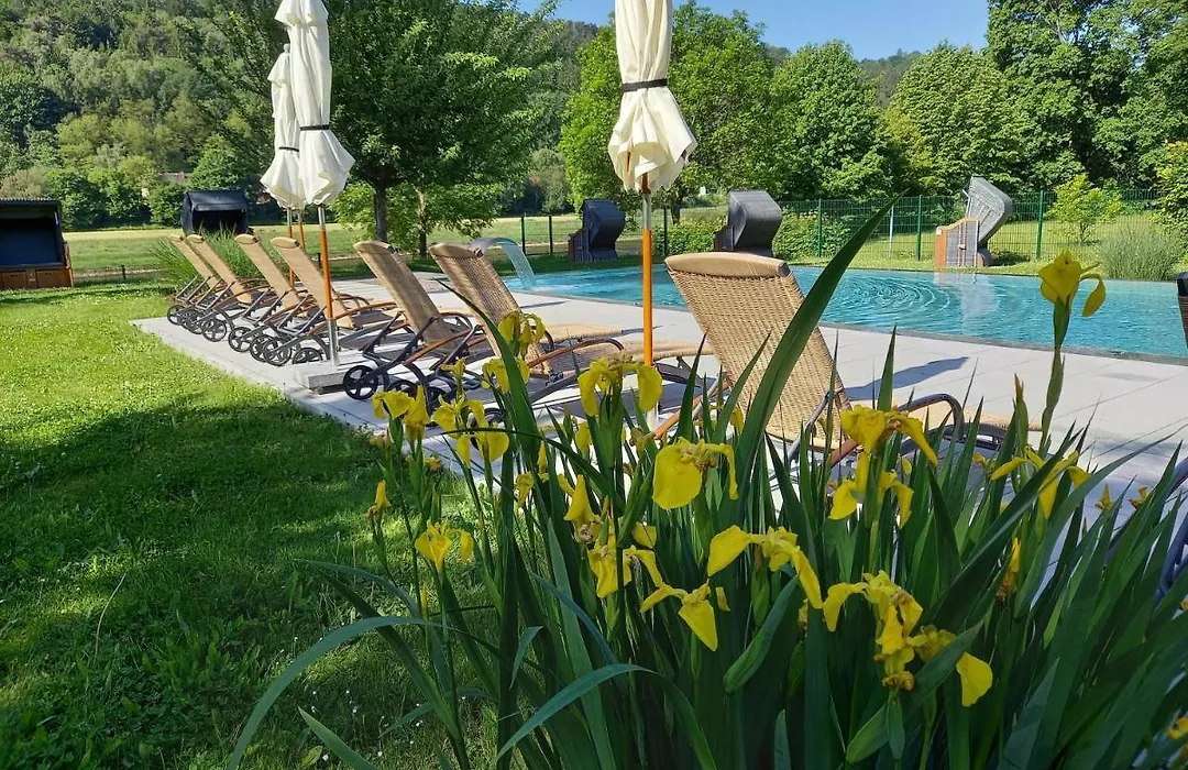 Parkhotel Bad Schandau - direkt an der Elbe-1