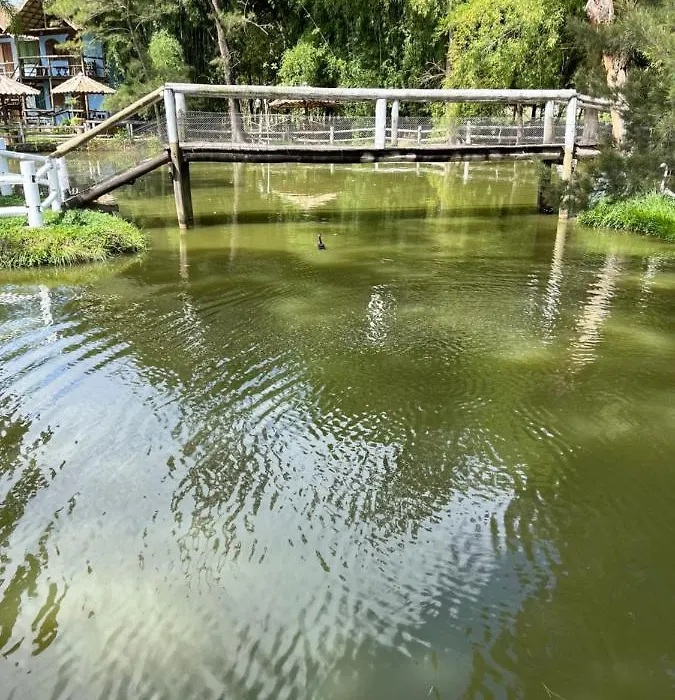 Pousada Recanto Dos Cisnes-1