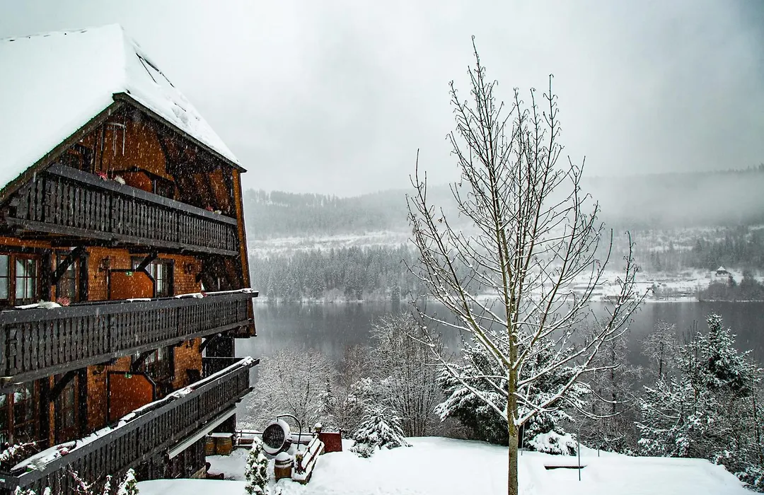Alemannenhof - Boutique Hotel Am Titisee-1