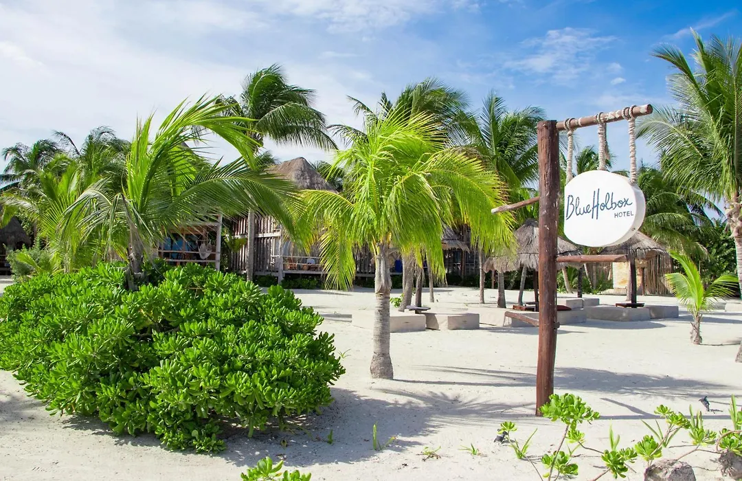 Blue Holbox-1