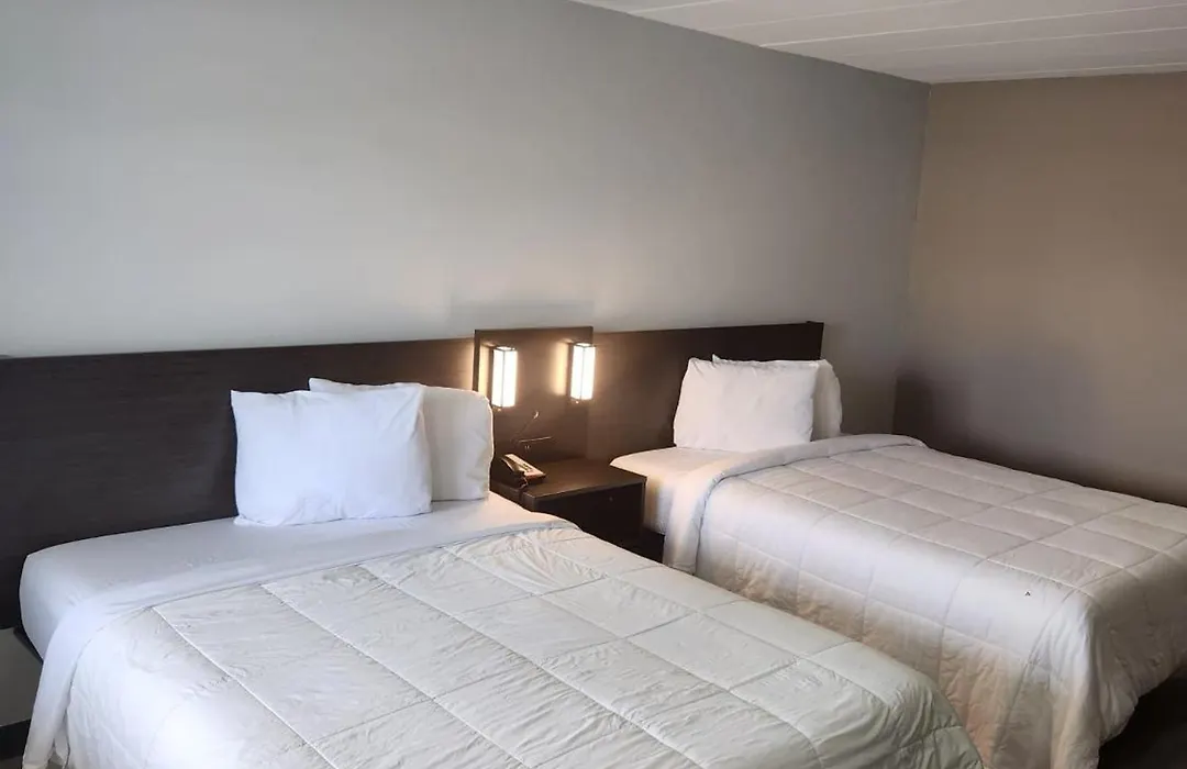 Royal Inn Hotel-1