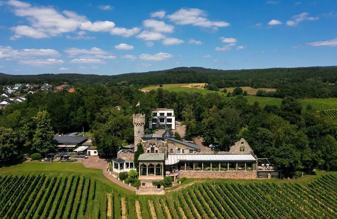 Relais&Châteaux Hotel Burg Schwarzenstein-1
