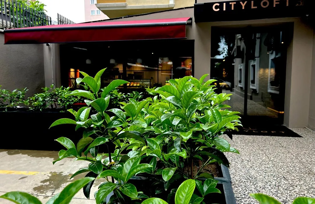 Cityloft 36-1