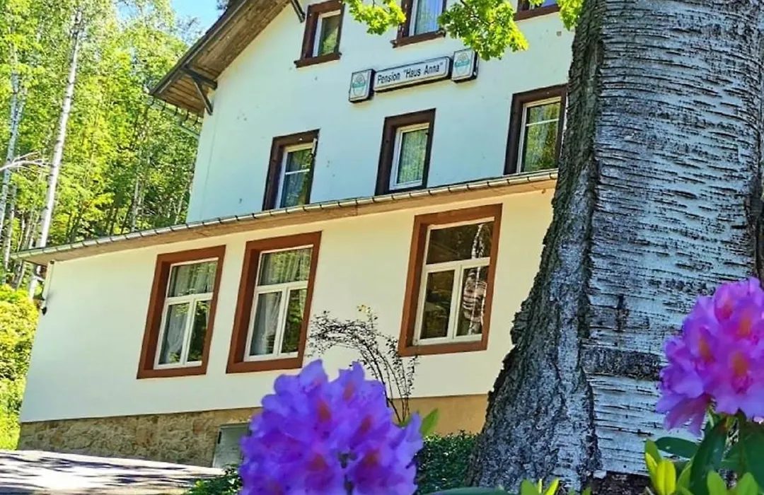 Pension Haus Anna-1