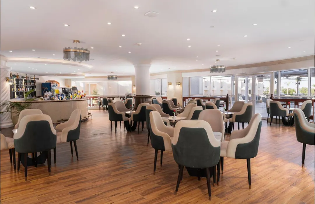 Ivy Cyrene Sharm Resort Adults Friendly Plus 13-1