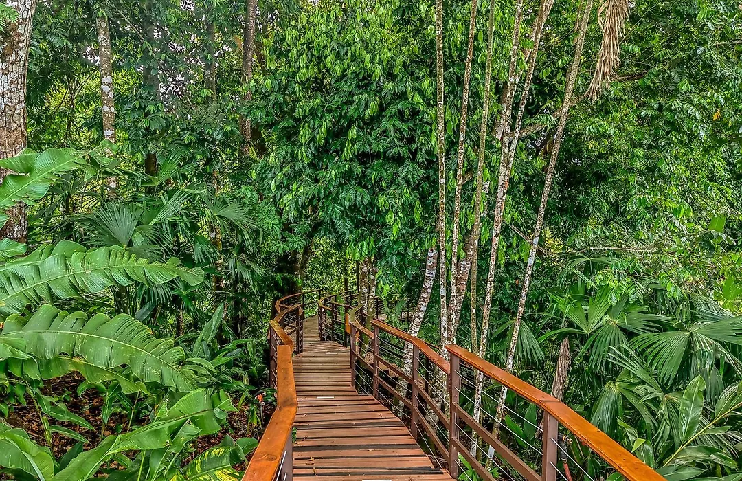 Lapa Rios Lodge By Boeena-1