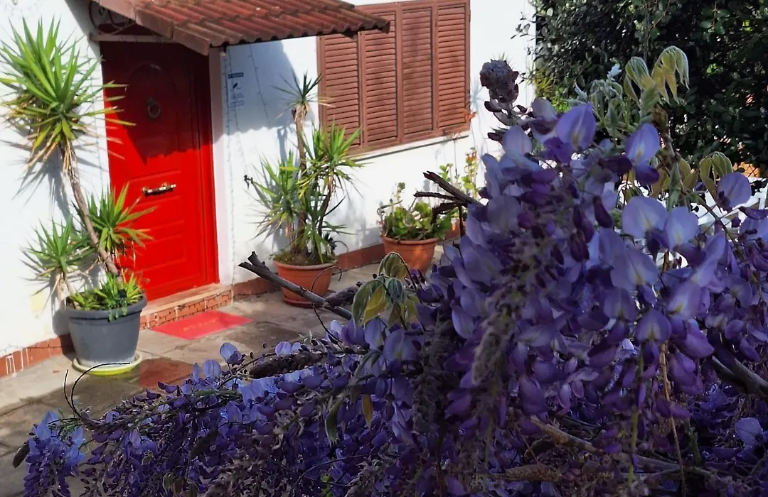 Giallo Limone B&B-1