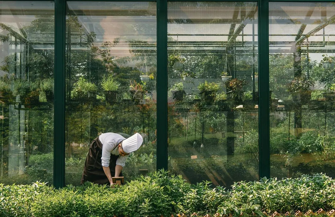 Jw Marriott Hotel Hanoi-1