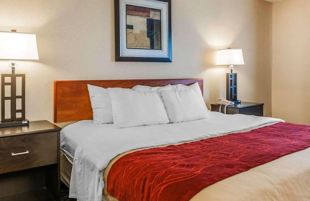 Comfort Inn Avon-Indianapolis West-1