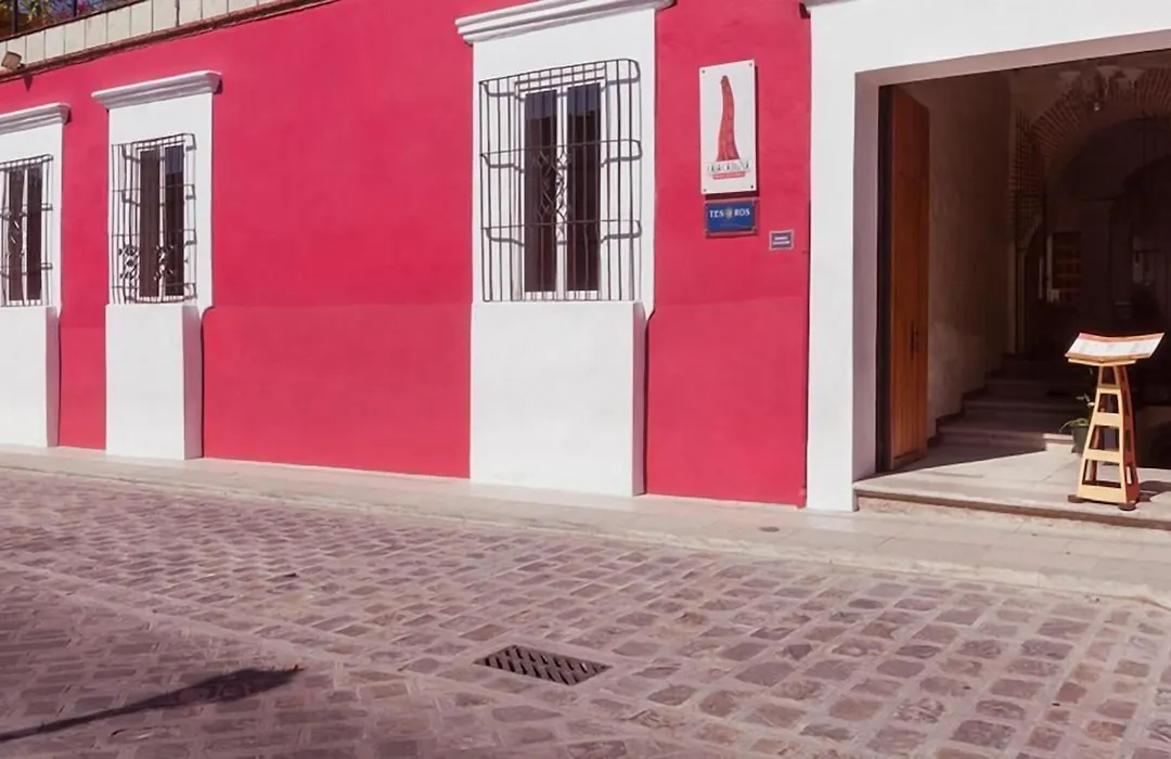 Hotel Boutique Casa Catrina-1