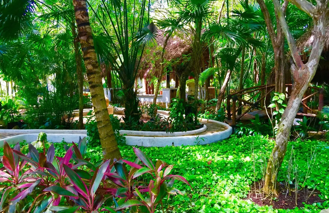 Amarte Maroma Hotel Eco Boutique Spa-1