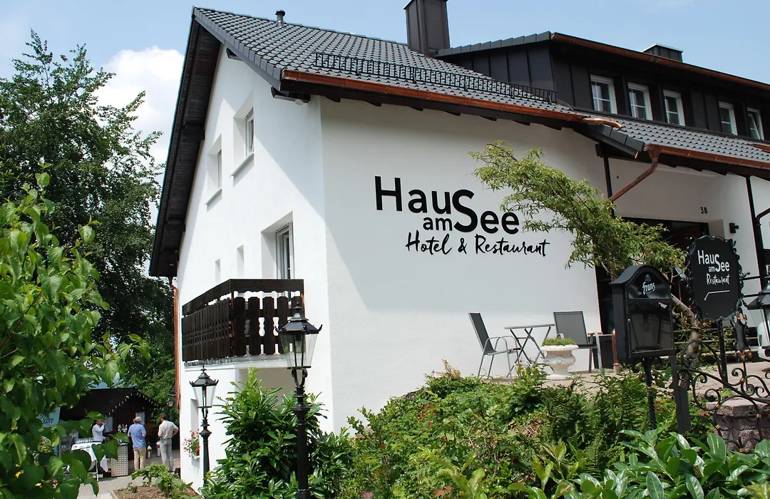 Das Haus am See-1