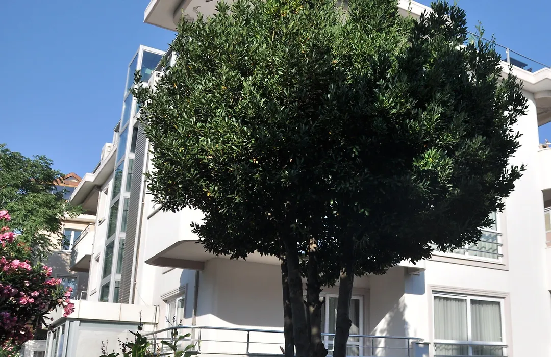 Dragos Island Hotel-1