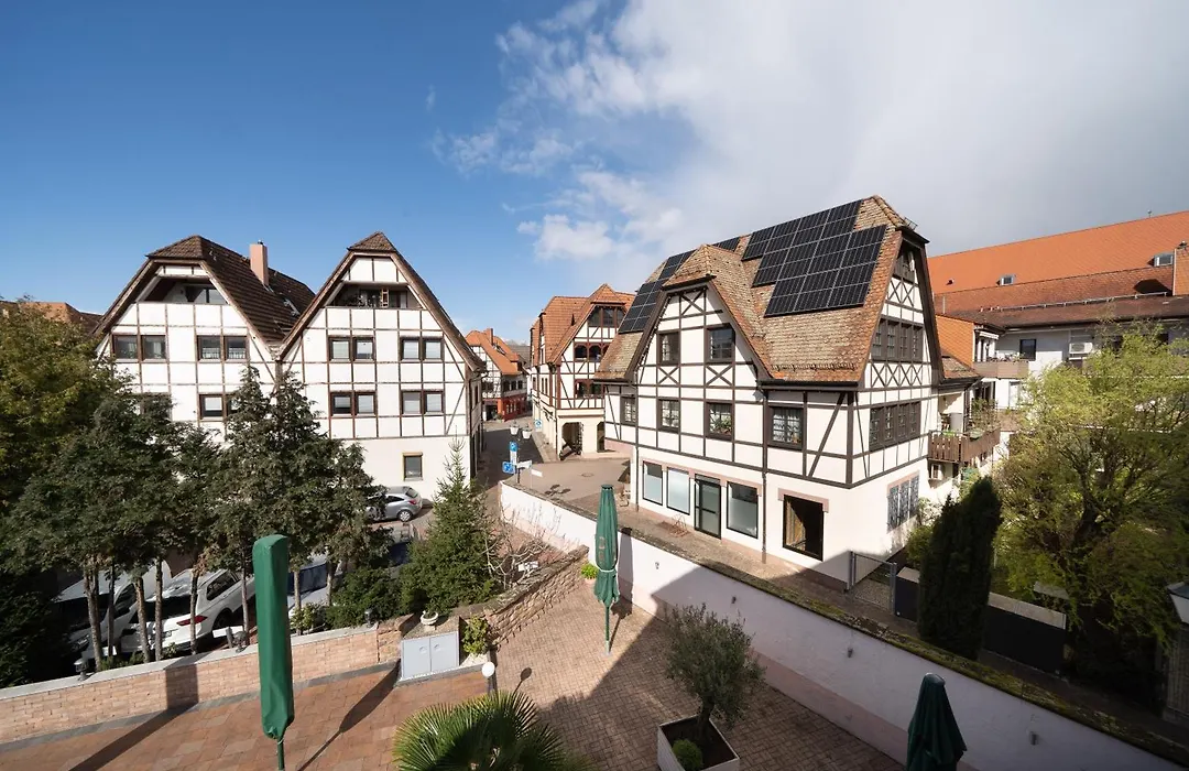 Hotel Baeren-1