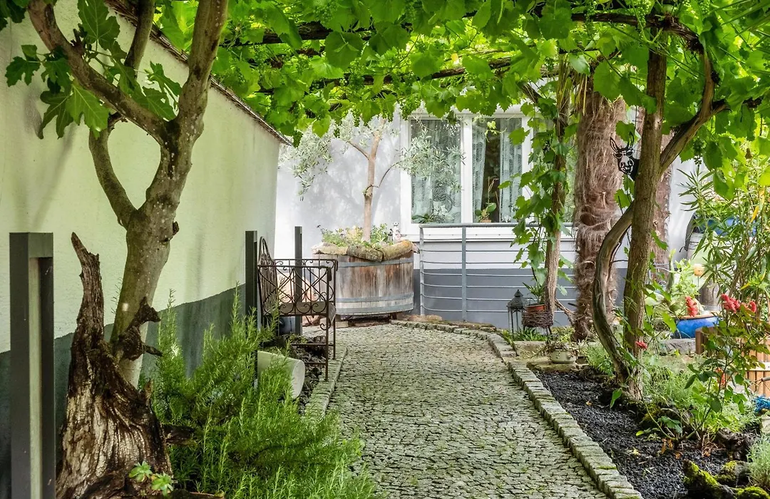 Haus Bienen-1