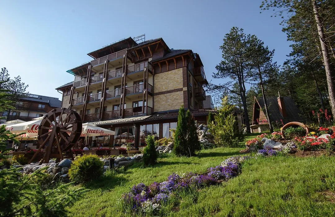 Hotel Iris-1