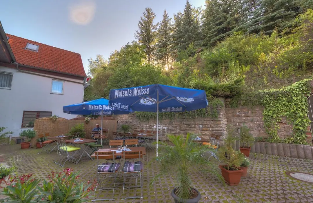 Hotel - Pension&Gaststätte Alter König-1