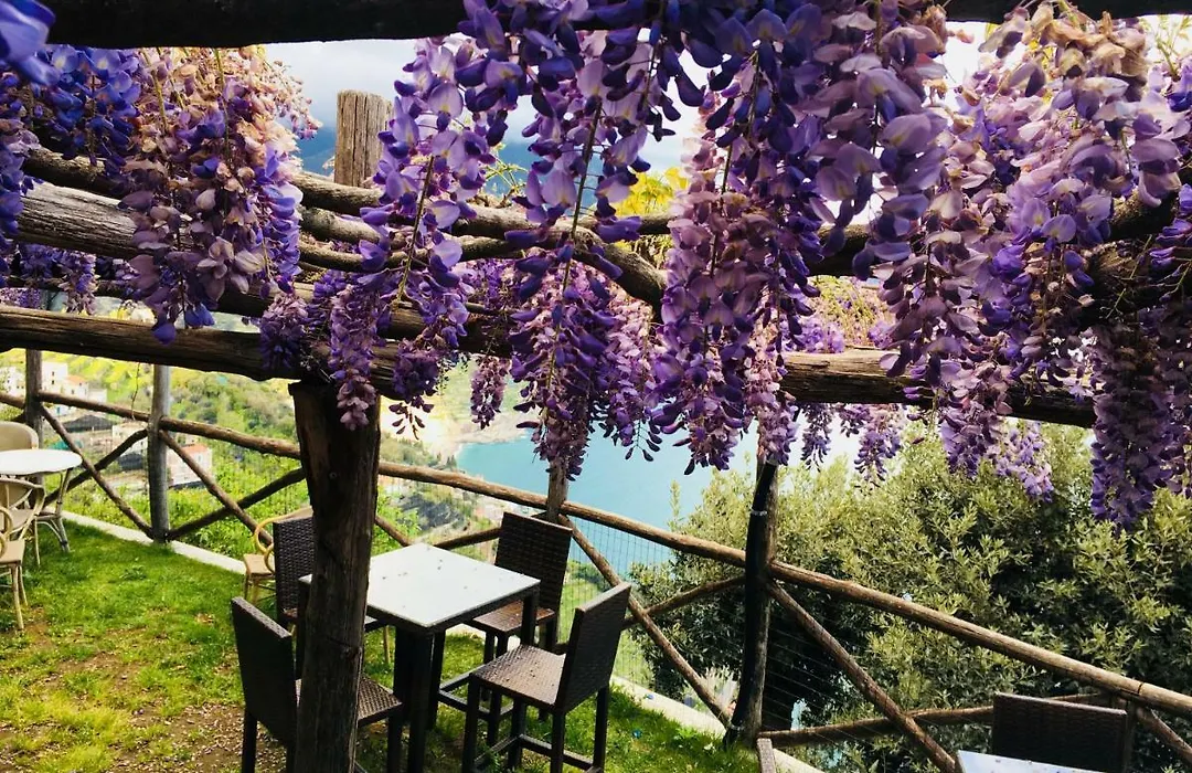 Giuliana'S View-1