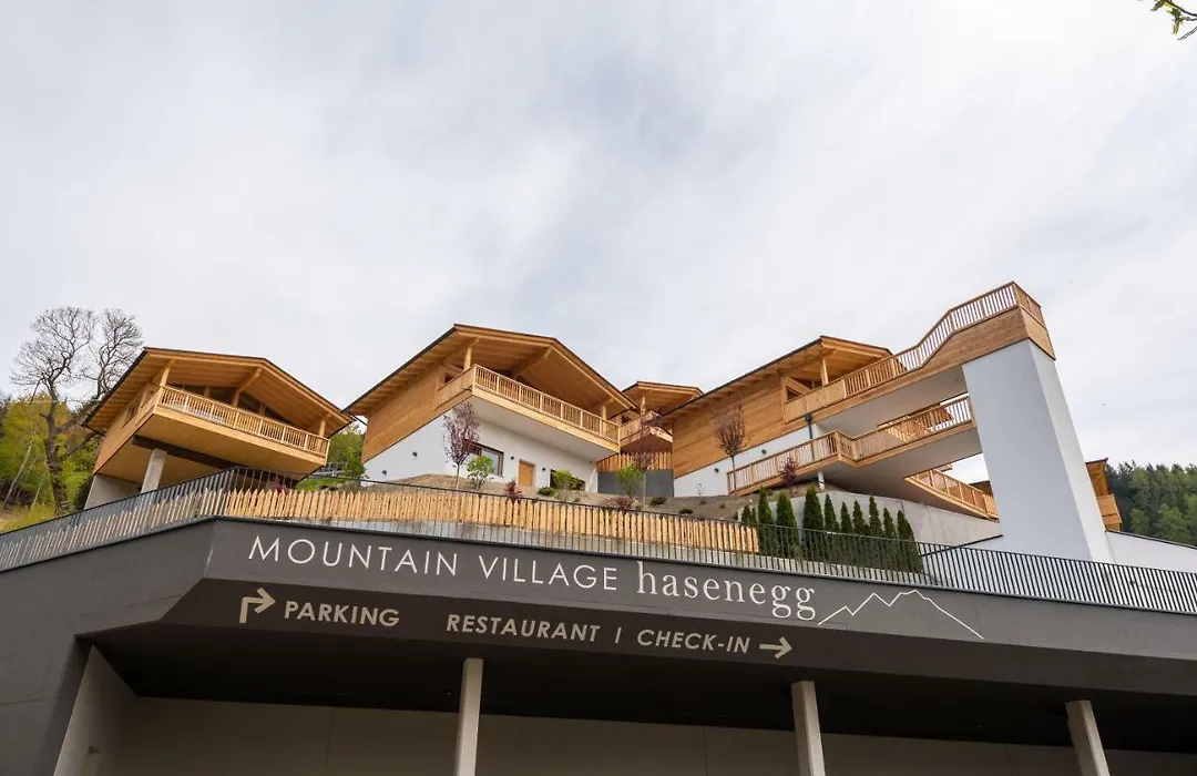 Mountain Village Hasenegg-1