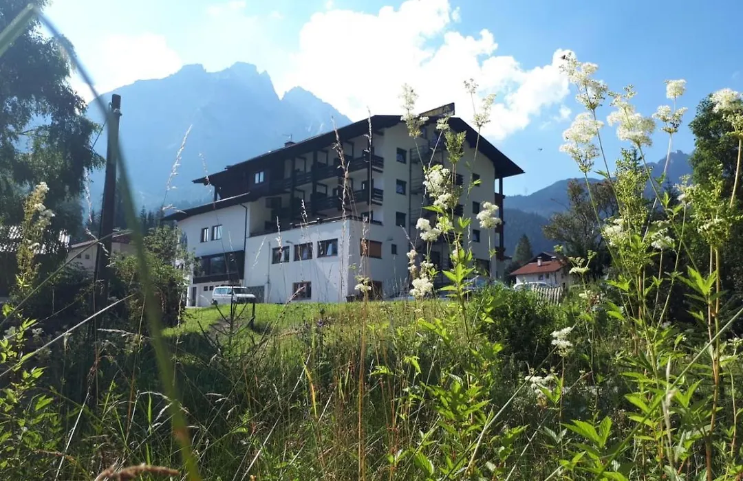 Hotel Alpina Regina-1