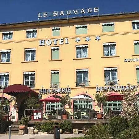 Hôtel Le Sauvage-2