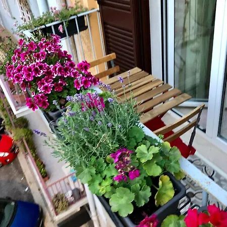 Casa De Rosas-2