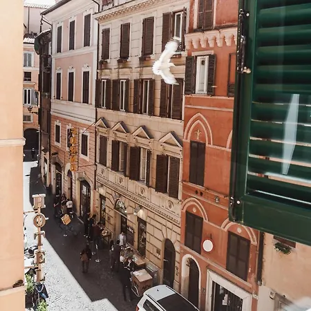 Nikis Collection Navona-2